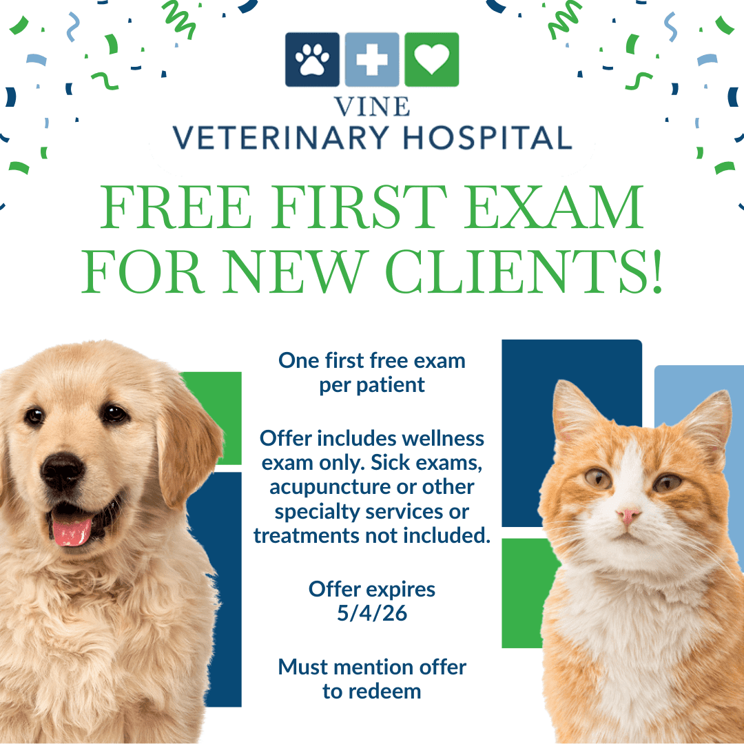 Vine Veterinary Hospital New Client Promo