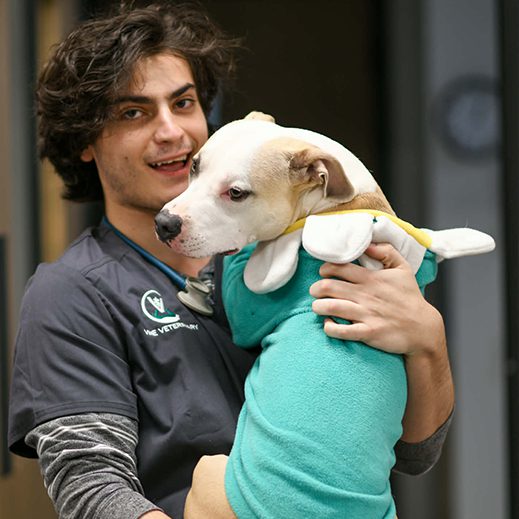 David And Skylar
