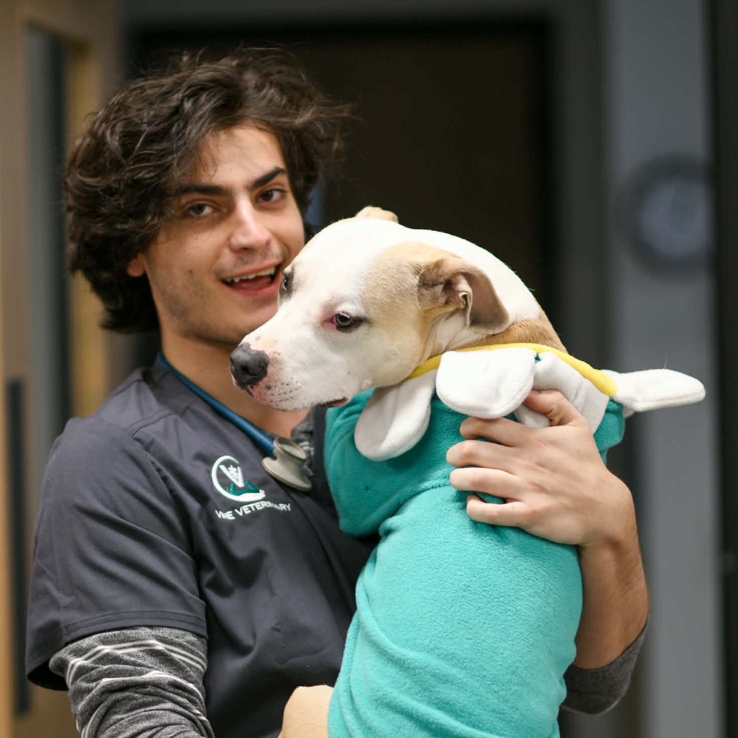 Vine Vet Holding Dog